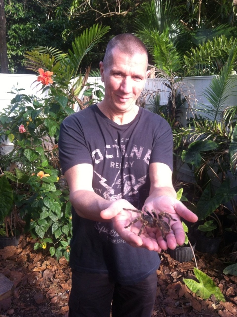 Egyesült Államok - Homestead - 