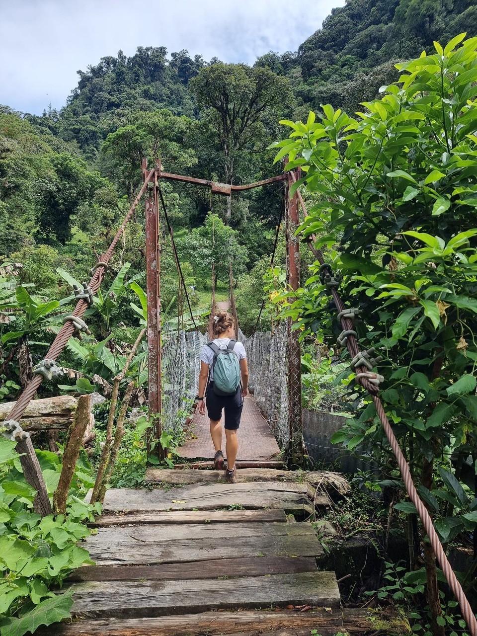 Panama -  - 🎒 🌱