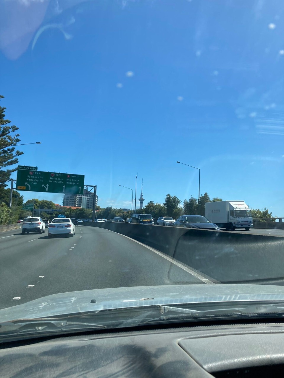 Neuseeland - Hikurangi - Zurück in Auckland 🤪