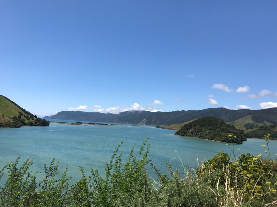 Neuseeland - Cable Bay - 