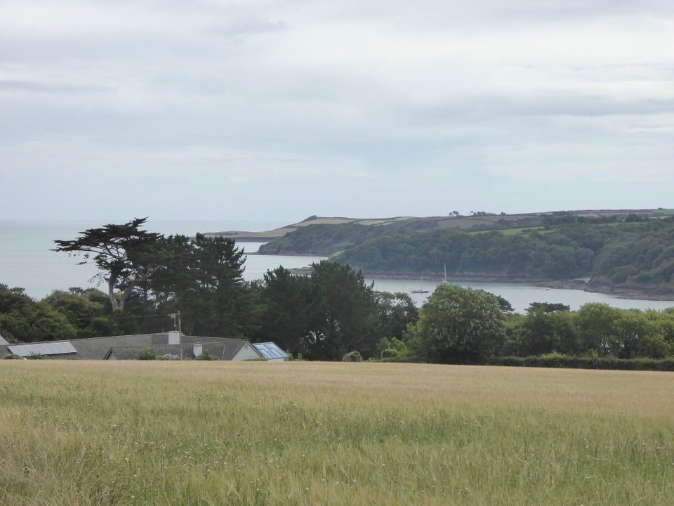 United Kingdom - Falmouth - Wanting to visit Mawnan Smith, where Ollie and Lucy stayed in 2020, we climbed the steep road out of the bay.