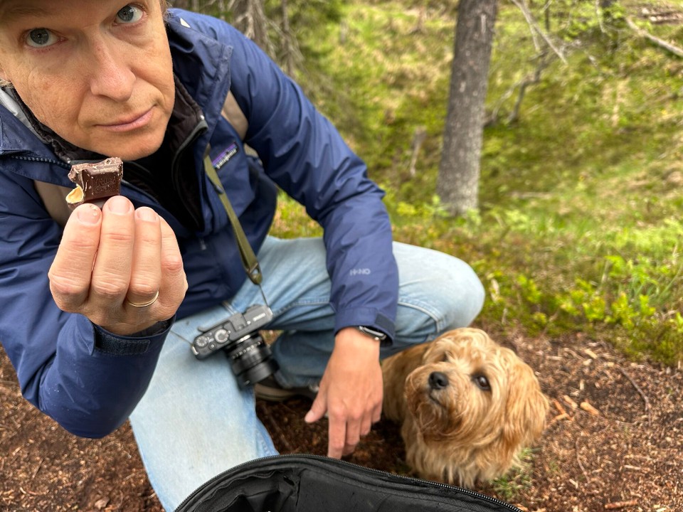 Österreich - Scharnitz - 