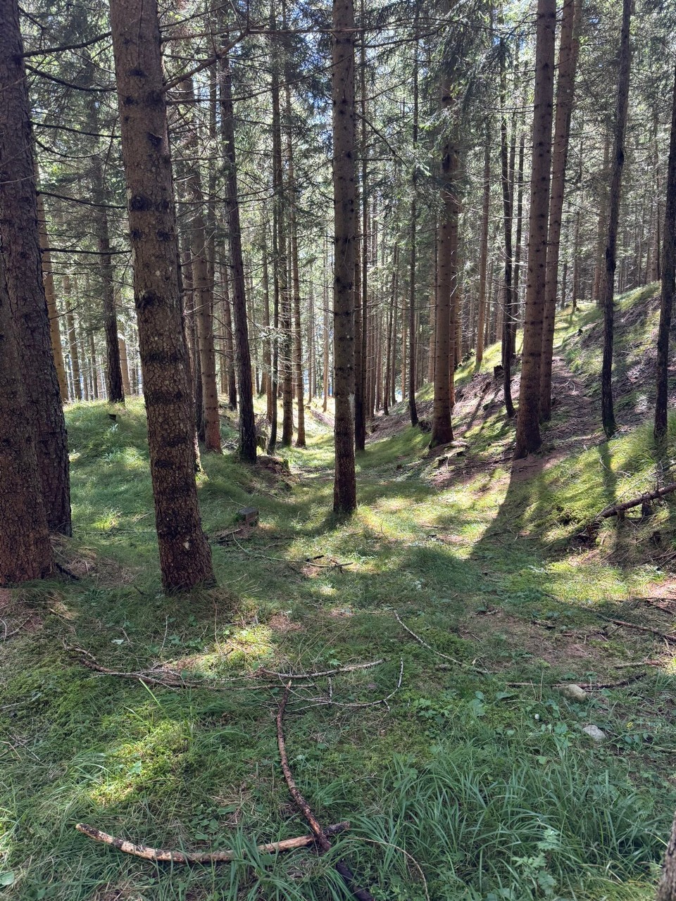 Italien - Brenner - 