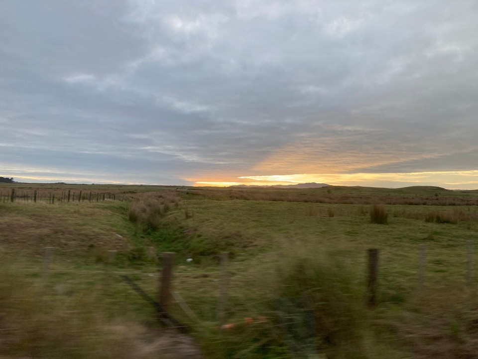 Neuseeland - Awanui - Guten Morgen 🥳
