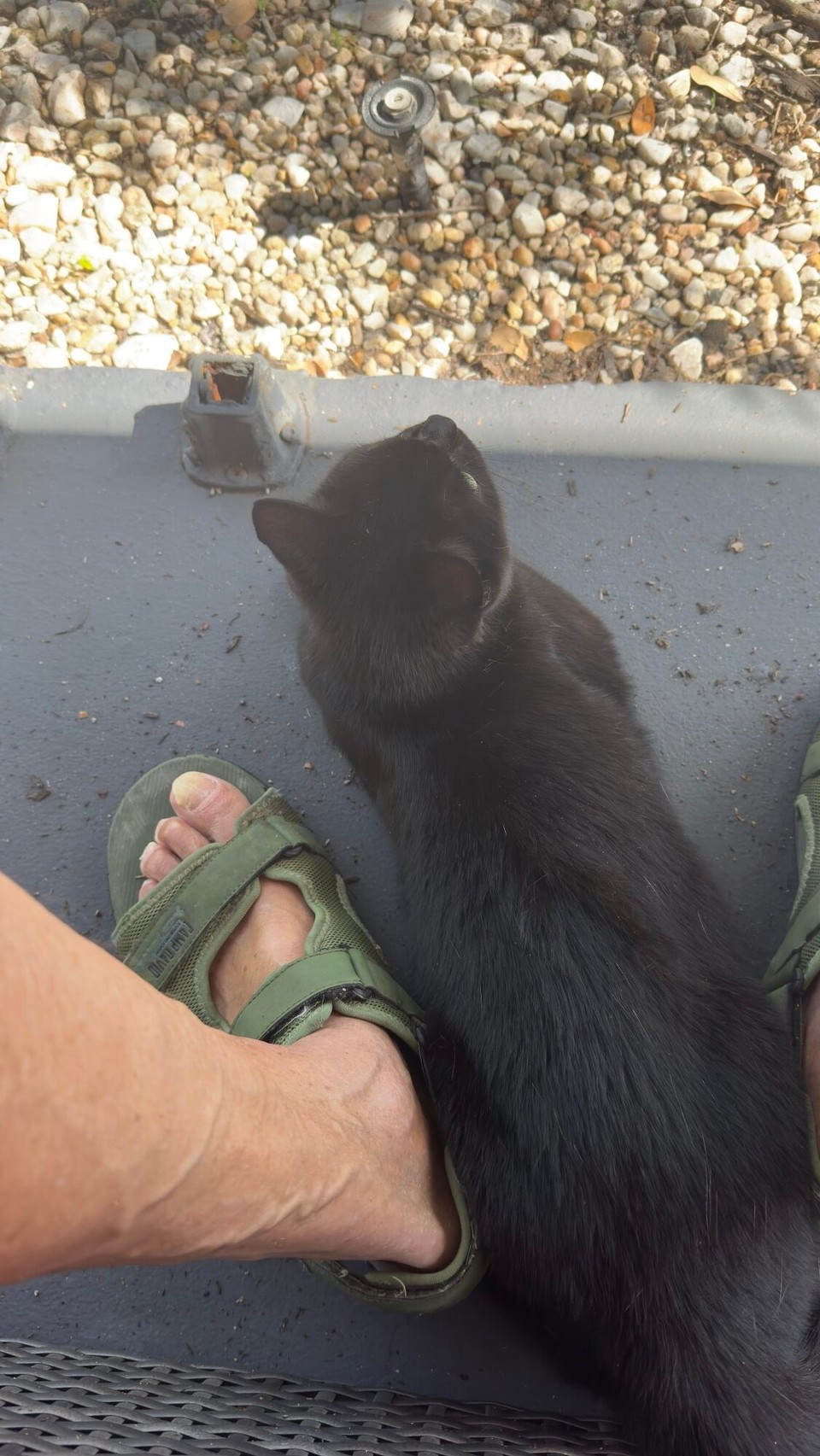 Vereinigte Staaten - Boca Raton - 