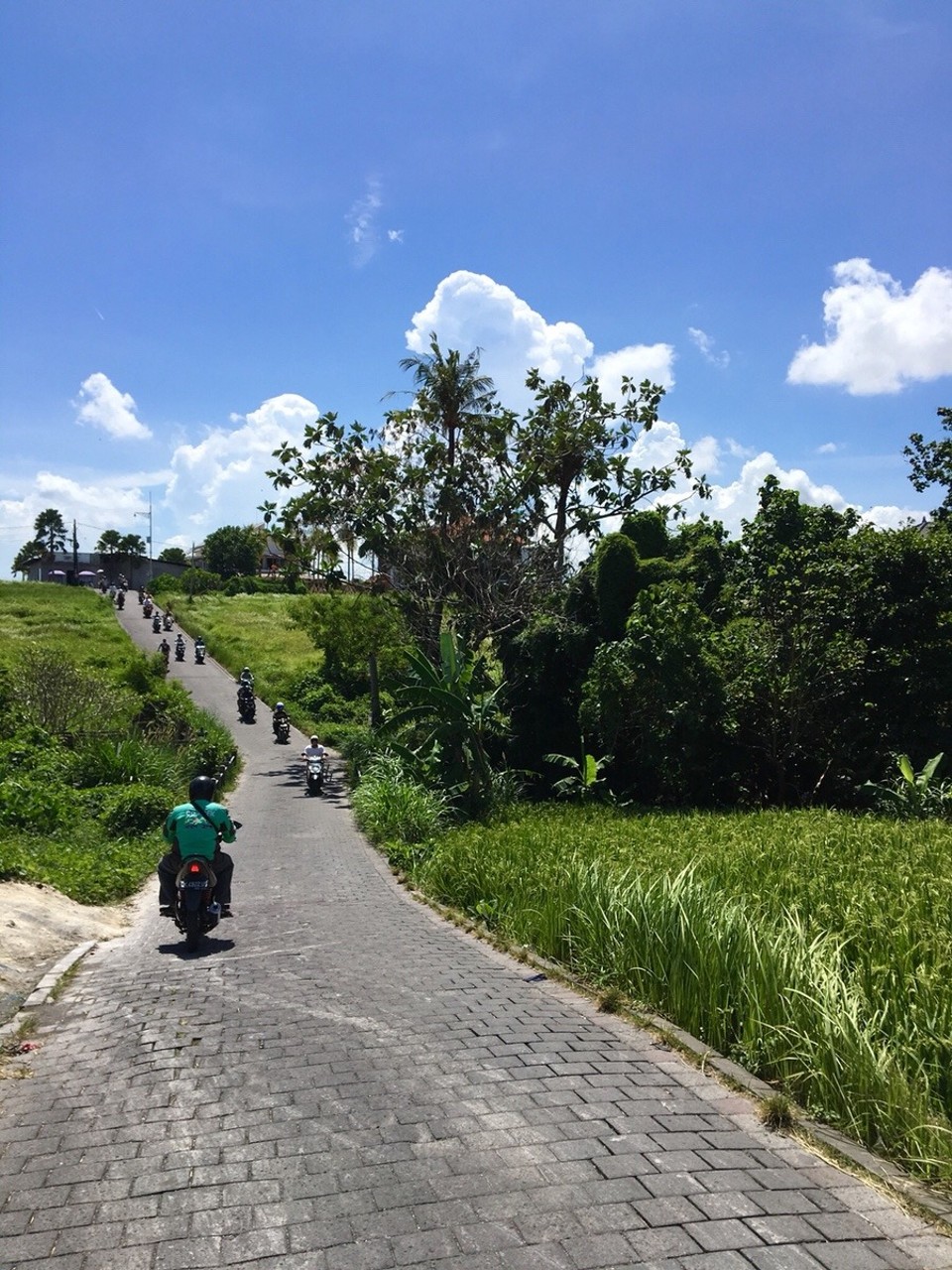 Indonesien -  - Canggu