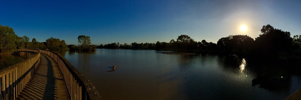 Australia - Sale - Afternoon stroll around Lake Guyatt in Sale. 