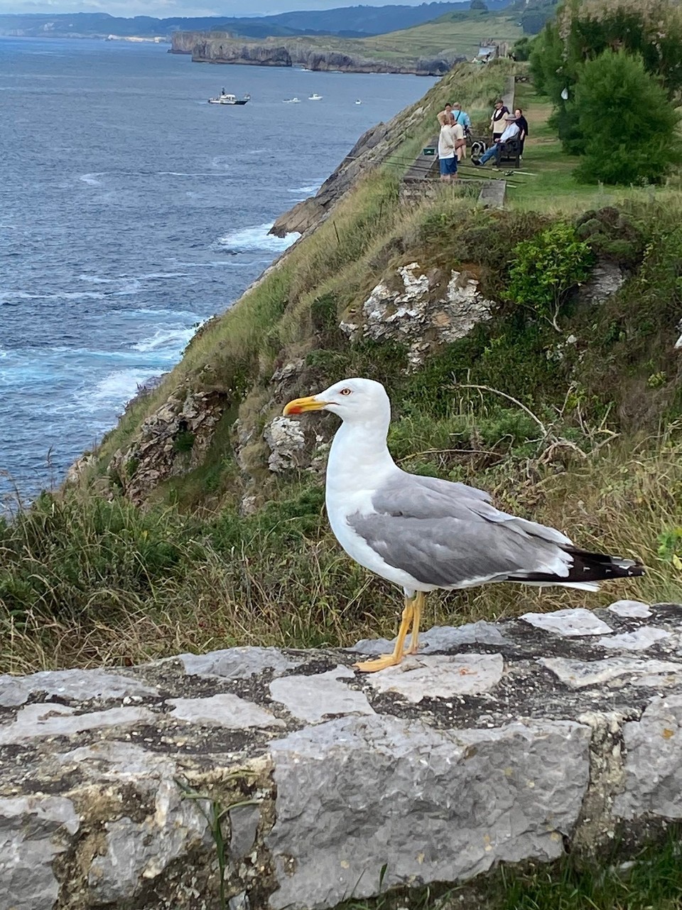 Spanien - Llanes - 