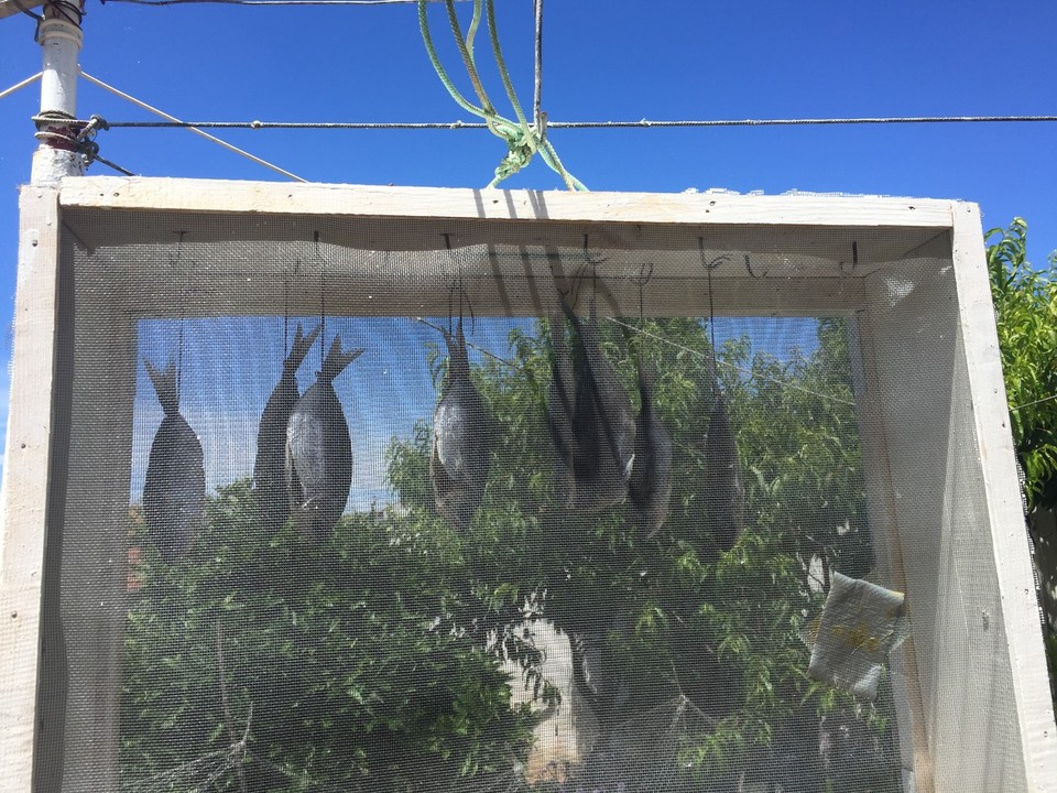 Kroatien - Mala Rava - getrocknete Fische