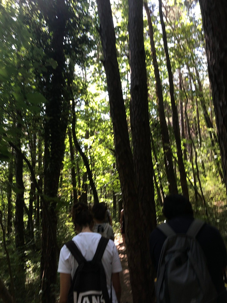 Frankreich - Treffort - 