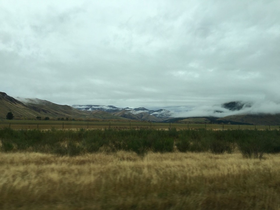 New Zealand - Dunedin - 