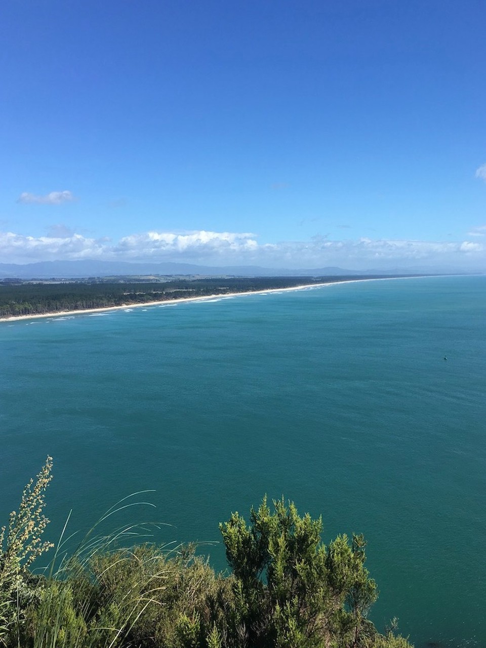 Neuseeland - Papamoa - 