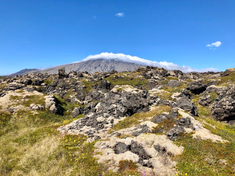 Island - Snæfellsbær - Überall gibt es schöne Dinge zu entdecken...
