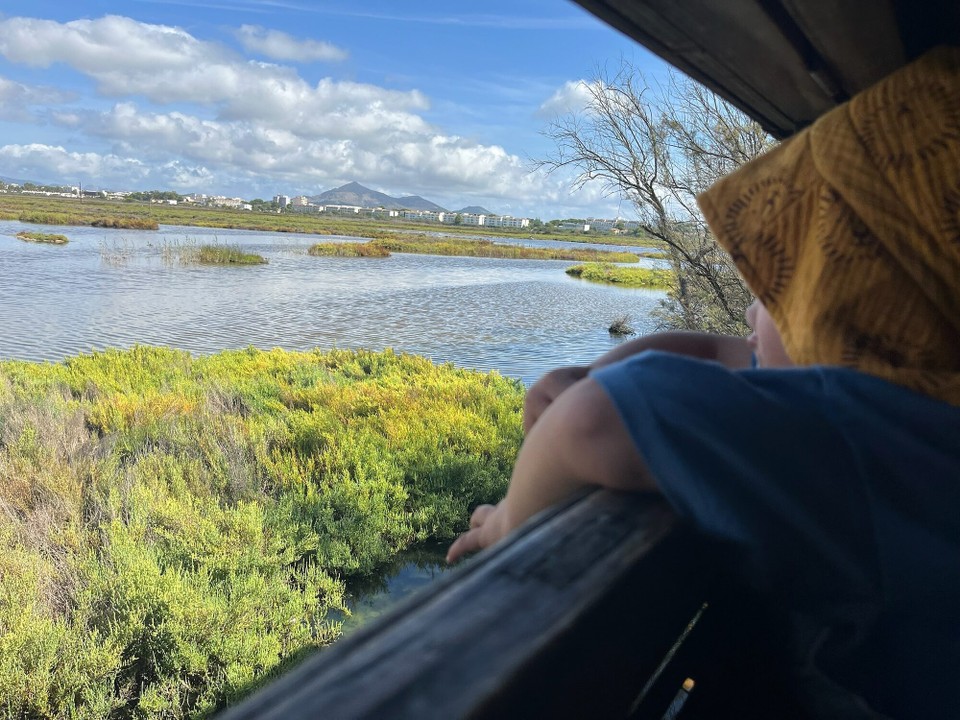 Spanien - Muro - waren Elias und Bastian im Albufers-Nationalpark um Flamingos zu besichtigen.