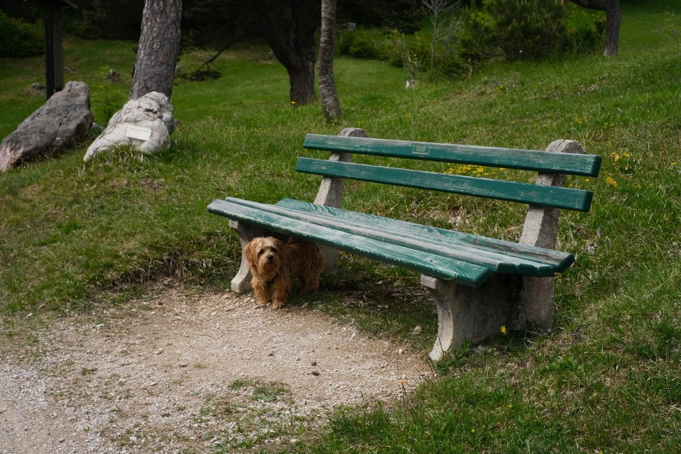 Deutschland - Mittenwald - 