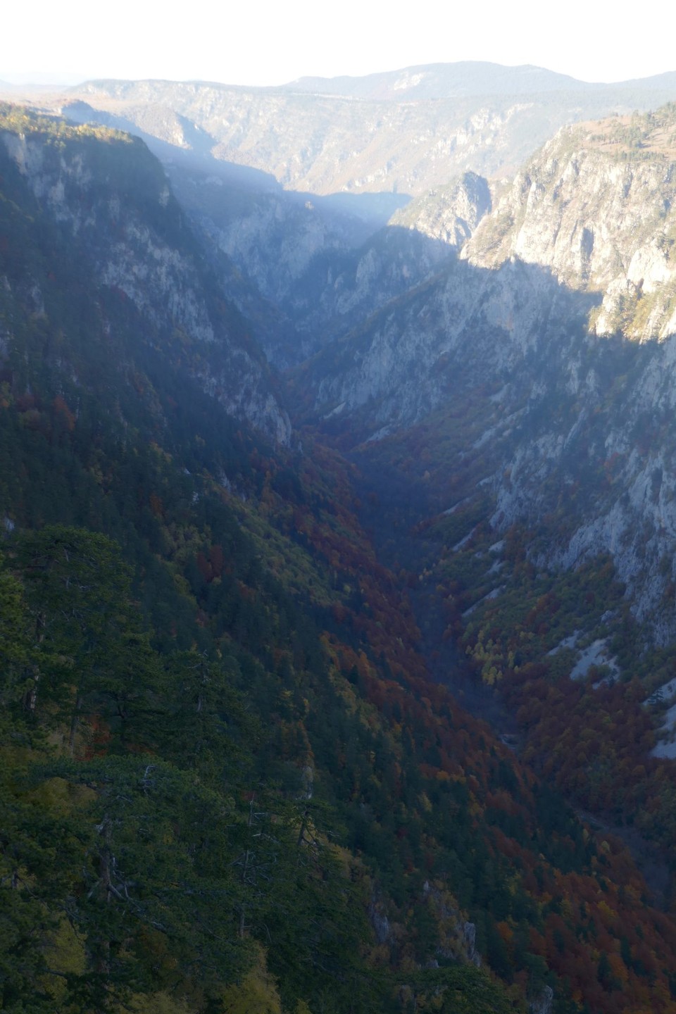 Montenegro - Ćurevac - 
