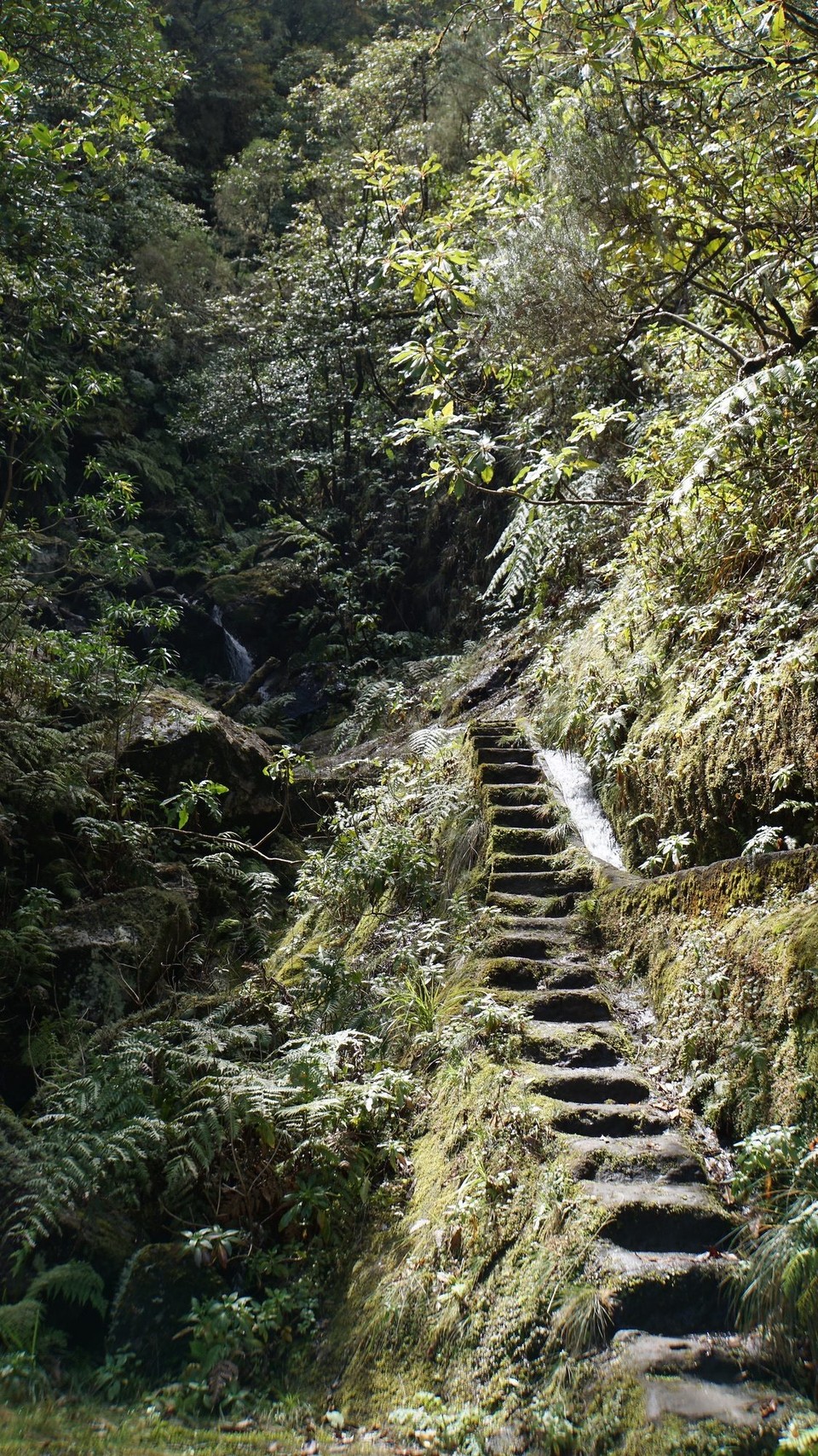 Portugal - Ribeira Brava - 