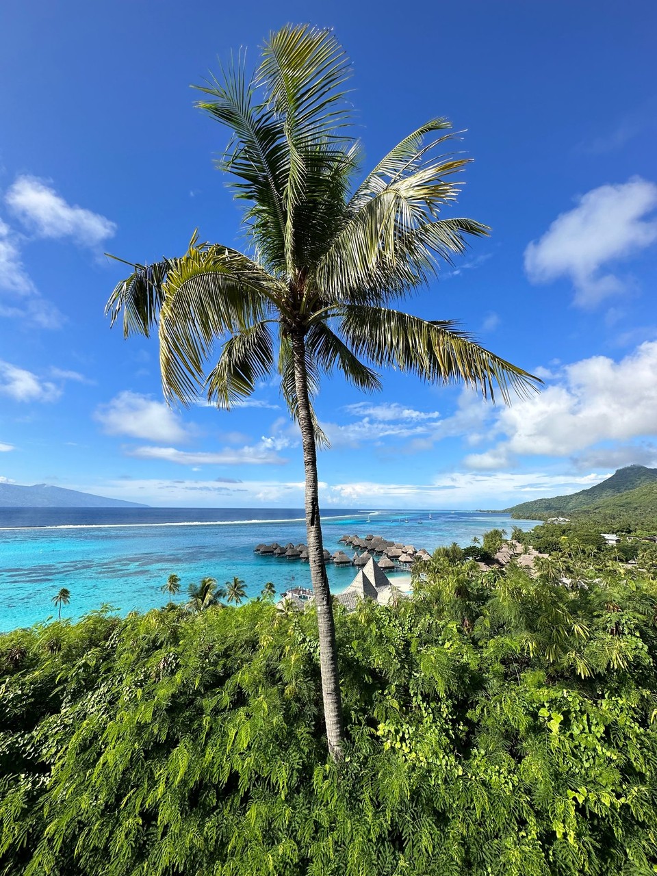 Französisch-Polynesien - Moorea-Maiao - 