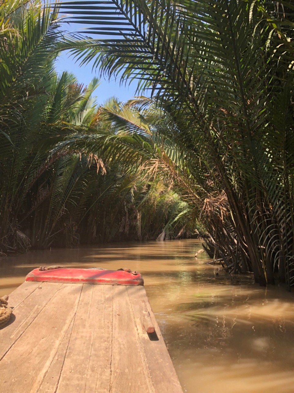 Vietnam - Mỹ Tho - Ab durch den Dschungel mit Boot...