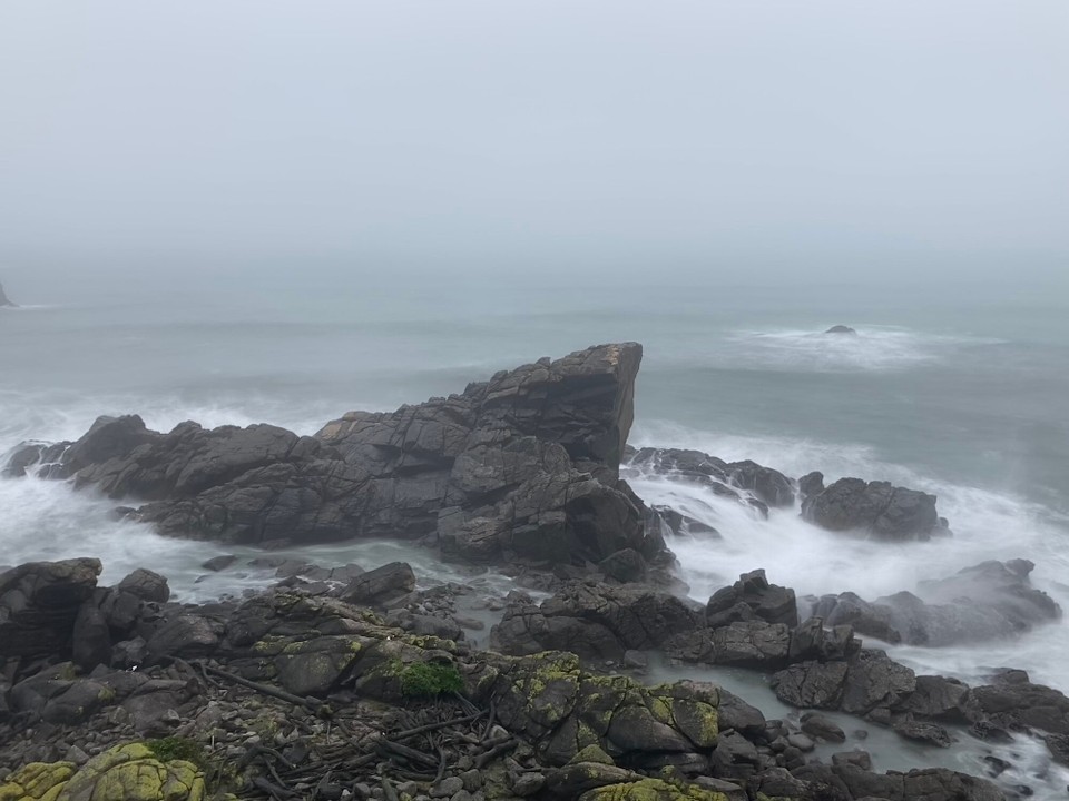 Neuseeland - Kap Foulwind - Aber ein gutes hat das Wetter trotzdem, es lässt alles ein wenig geheimnisvoll erscheinen 😀