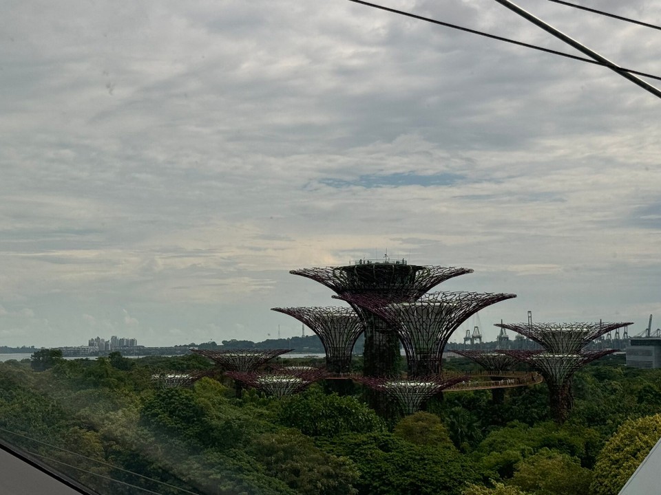 Singapur - Singapur - 