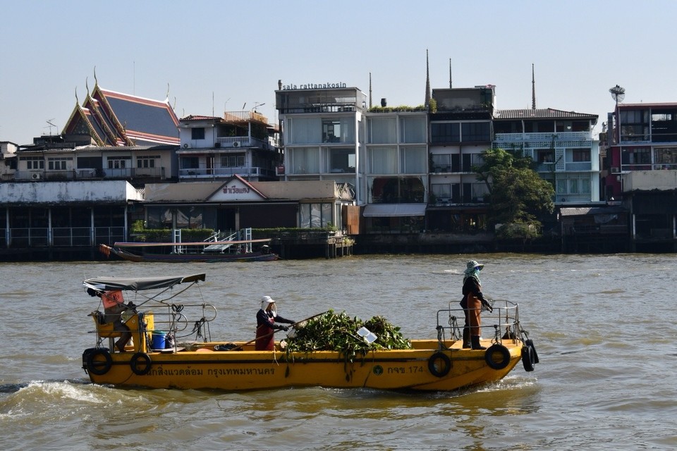 Thailand - Bangkok - 