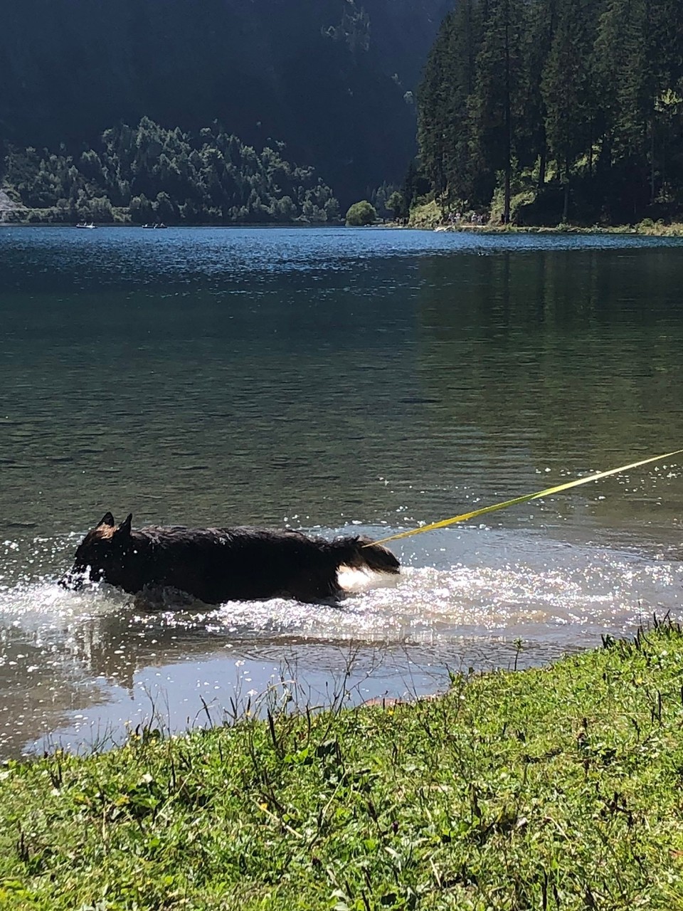 Deutschland - Oberstdorf - 