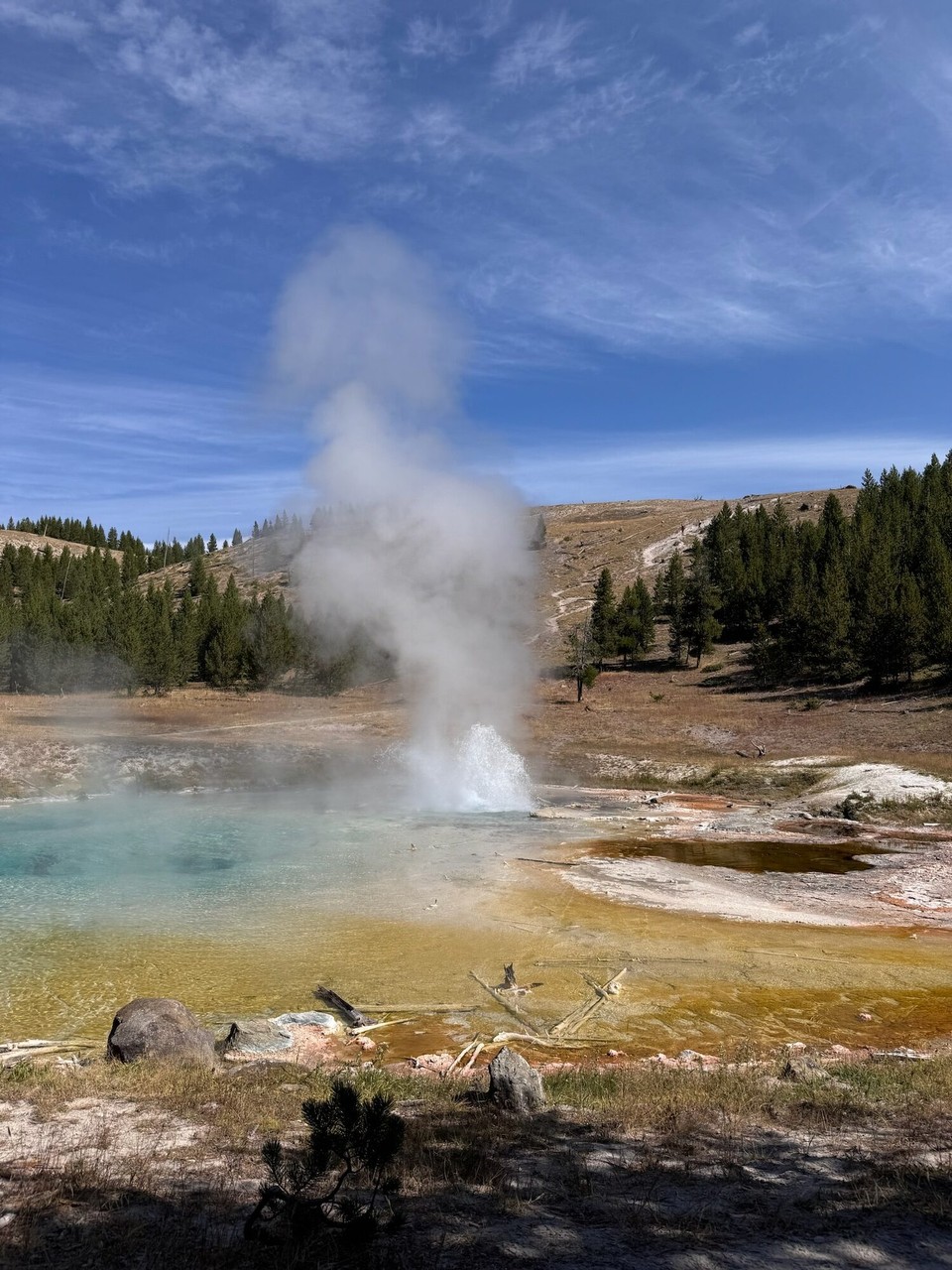 Vereinigte Staaten - Yellowstone National Park - S‘Highlight esch die Imperial Geyser gsi, mit deh Wasserfontäne.☺️ Det hets den so zimlich gar kei Lüth meh gha.😊 Au das esch en Schwäfel Geyser gsi.