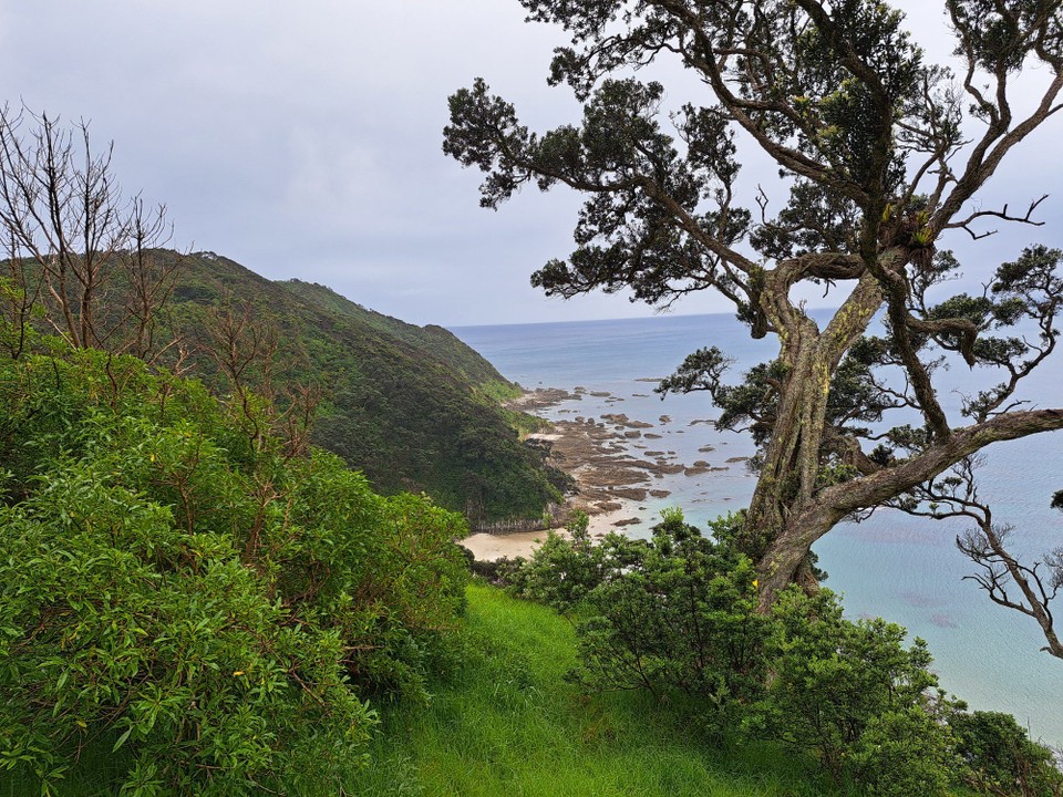 Neuseeland - Mangawhai - Ein schöner Trail mit Blick zur Küste 