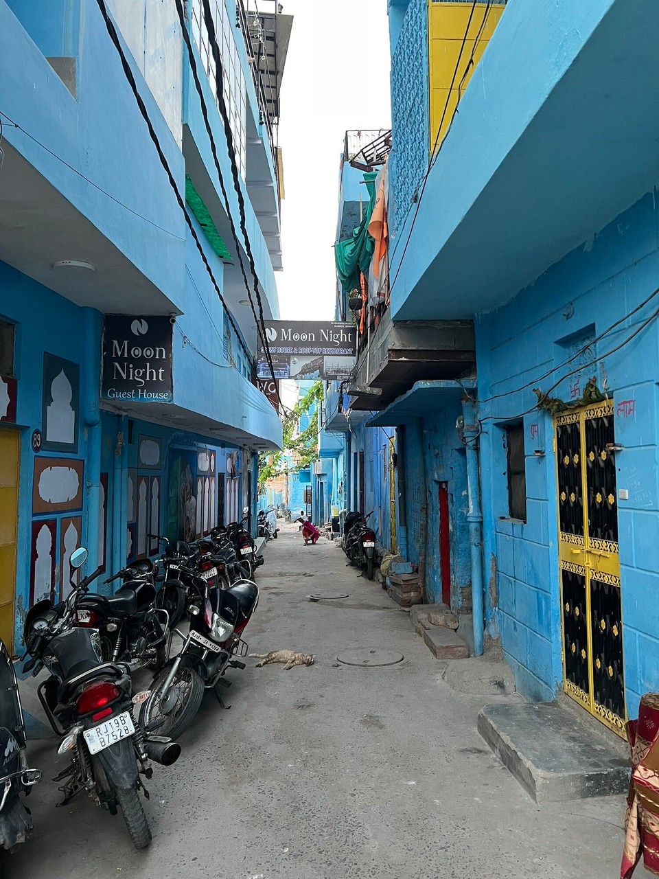 Indien - Jodhpur - Leider sind die alten Gassen sehr vermüllt. Auch ein toter Hund und an jeder Ecke Strassenhunde die in den Müllhaufen wühlen. Nix für schwache Gemüter.