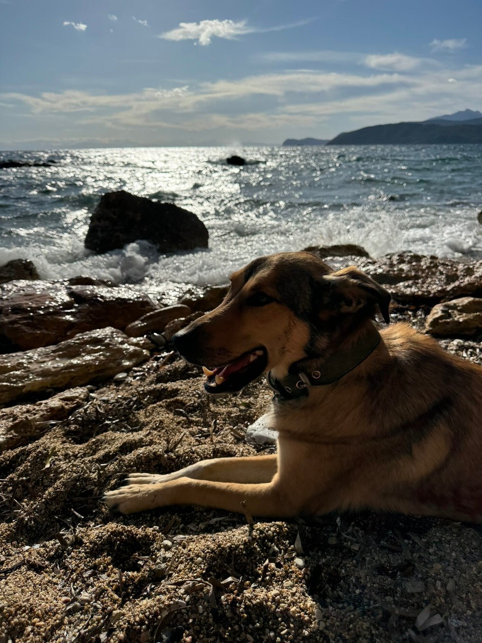 Italien - Porto Azzurro - 