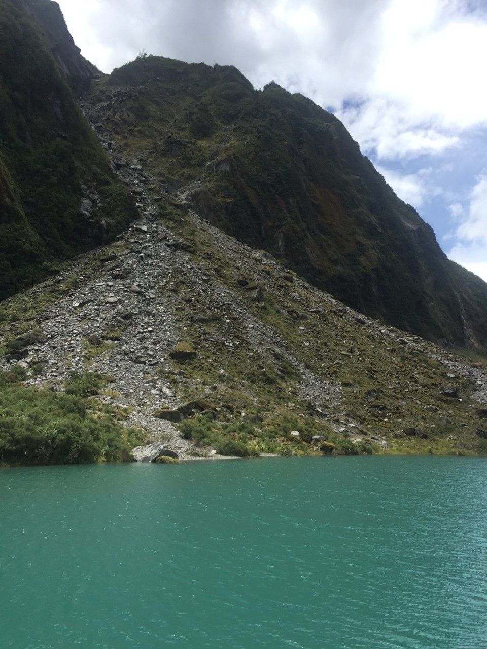 Neuseeland - Fox Glacier - 