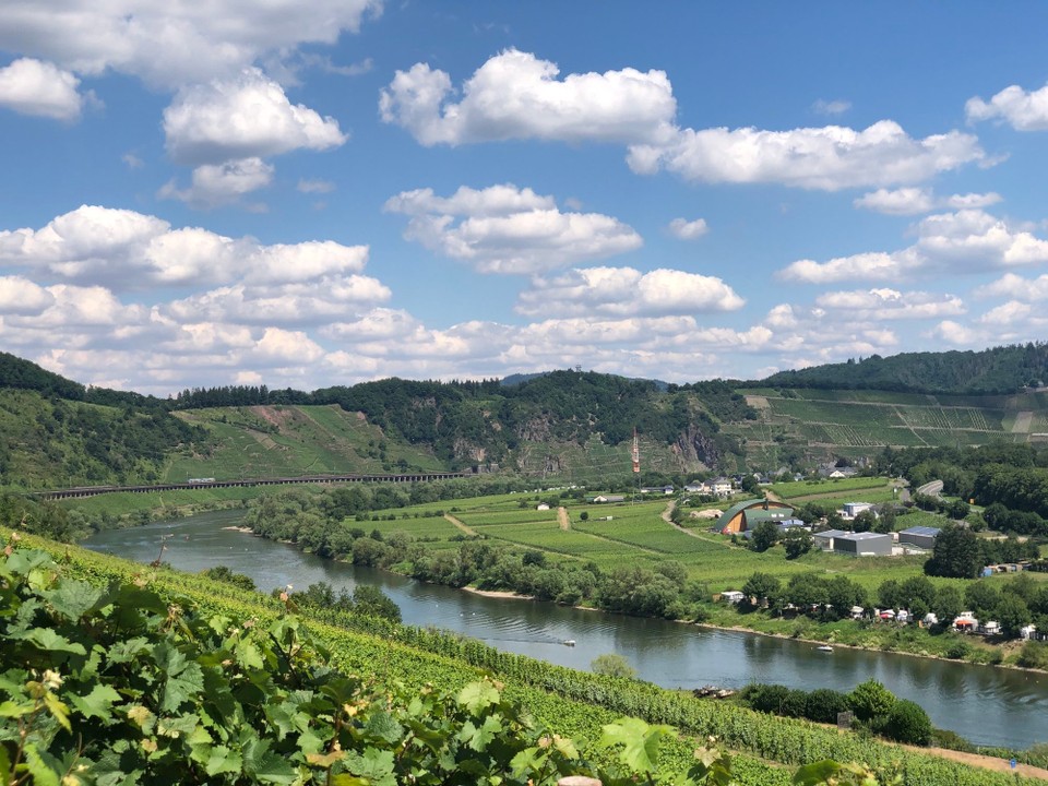 Deutschland - Briedel - 