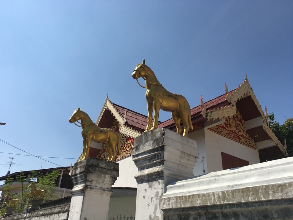 Thailand - Chiang Mai - Am nächsten Tag wieder mal auf Erkundungstour mit Tempeln