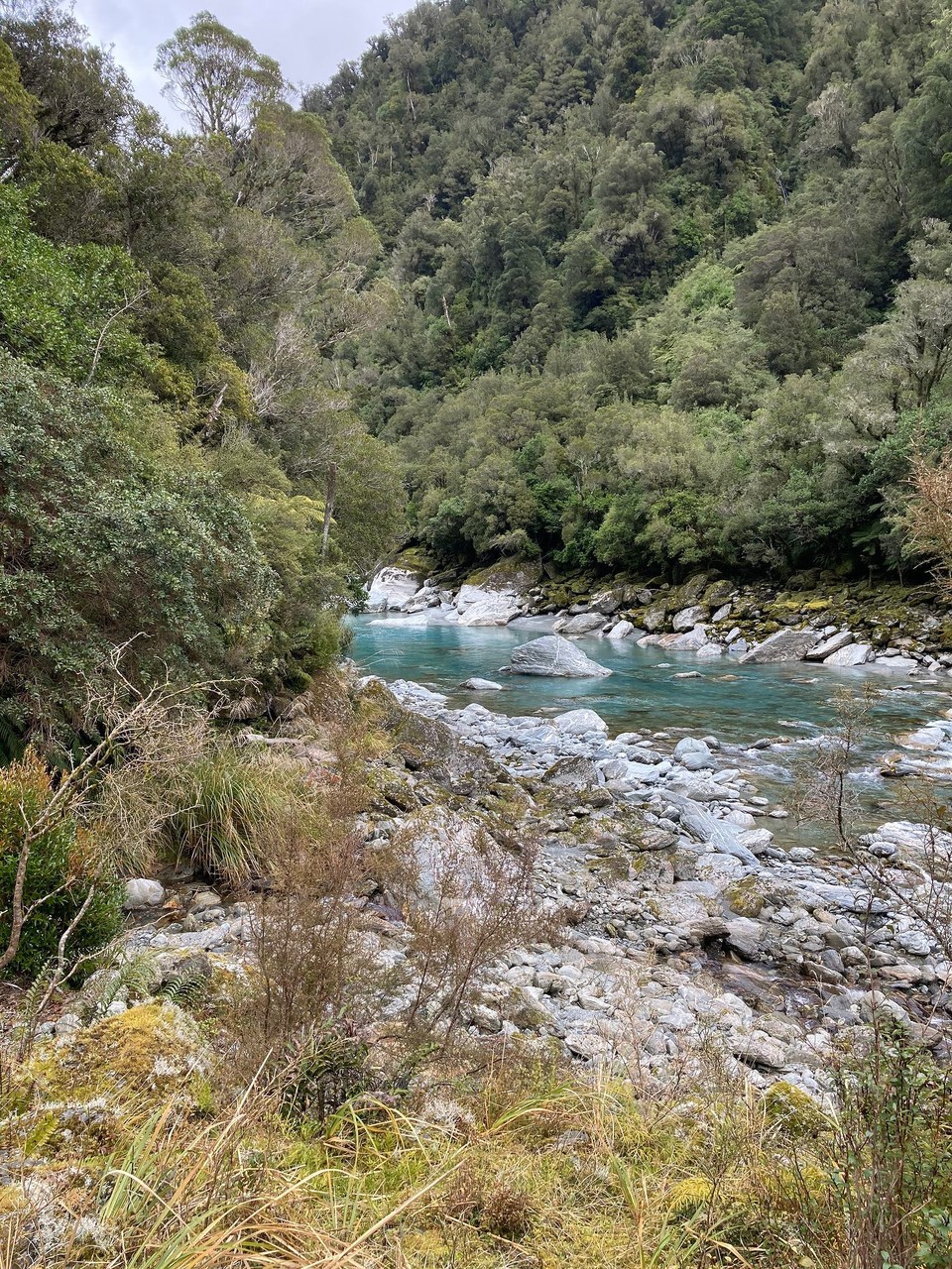 Neuseeland - Whataroa - 