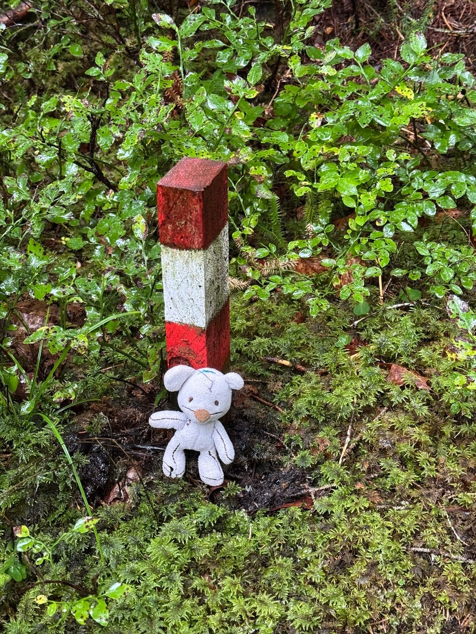 Österreich - Scharnitz - 