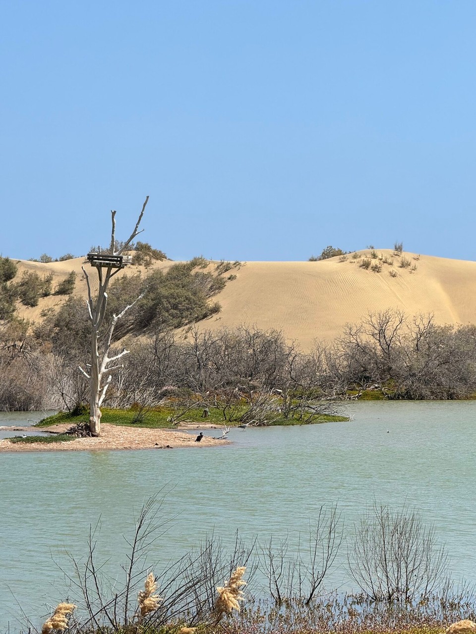 Spanien - Las Palmas de Gran Canaria - 