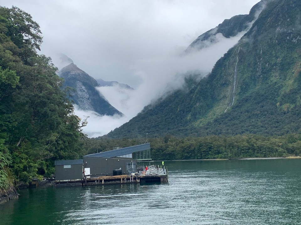 Neuseeland - Milford Sound - Im Observation Center  kann man 10 m unter die Wasseroberfläche gehen und die Fische beobachten ohne Nass zu werden 😂