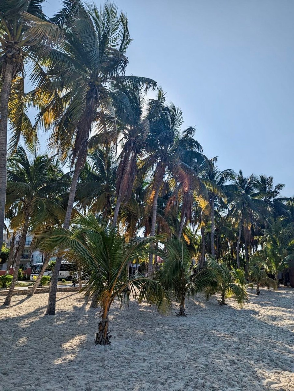 Mexiko - Isla Mujeres - 