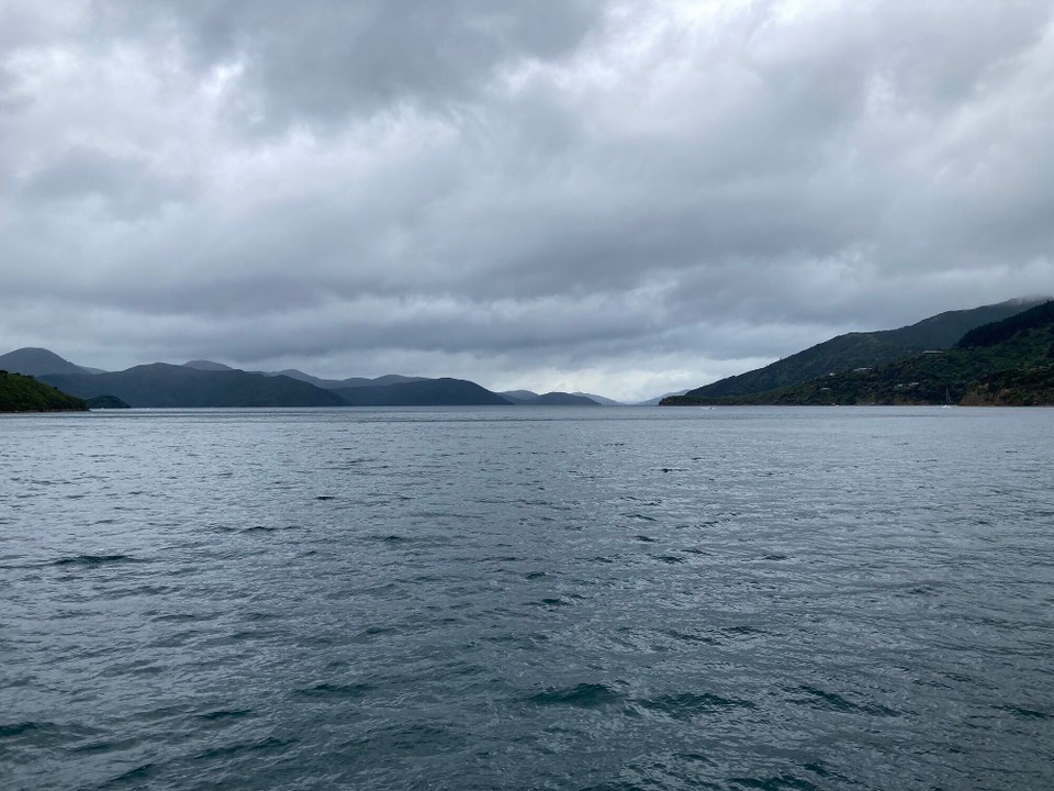 Neuseeland - Picton - Waikawa Bay