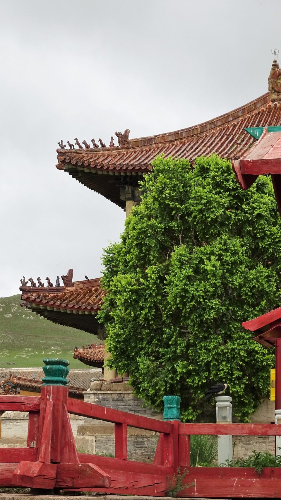 Mongolia - Erdenet - Amarbayasgalant Monastery