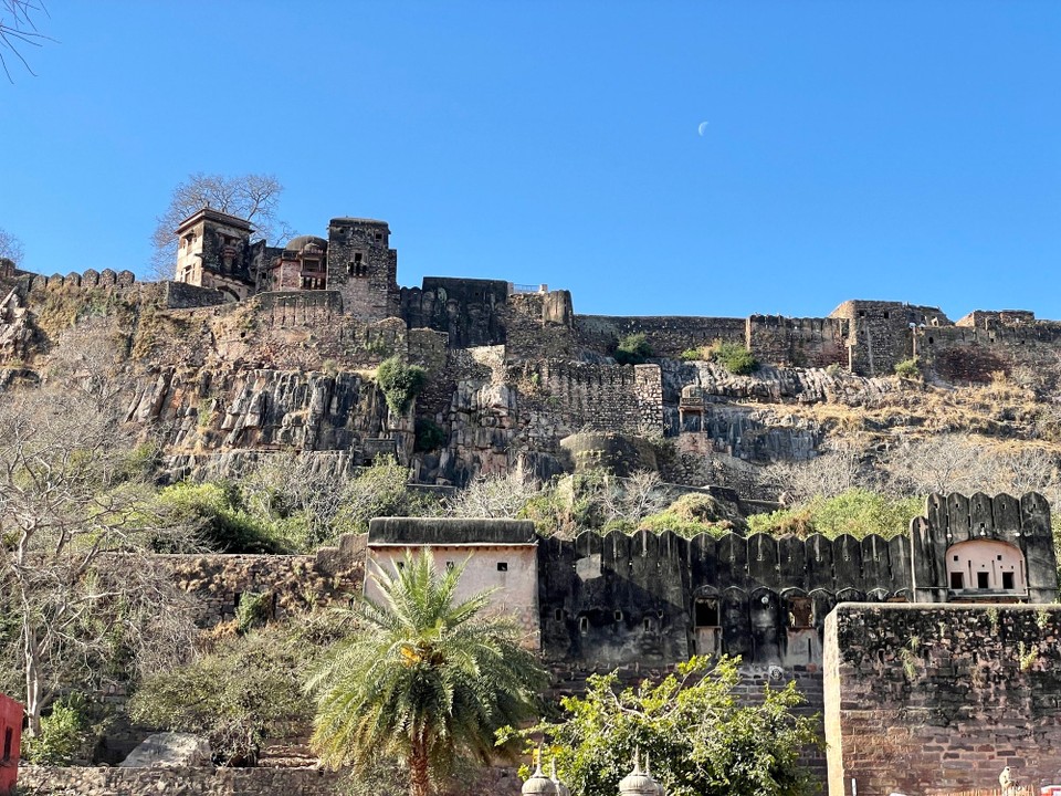 Indien - Ranthambore - 