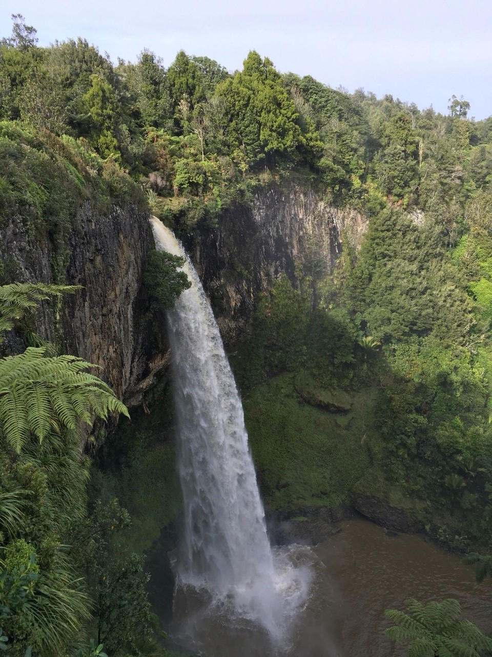 New Zealand - Raglan - Und auf dem weiteren Weg macht man nochmal Halt um einen Wasserfall zu besuchen 