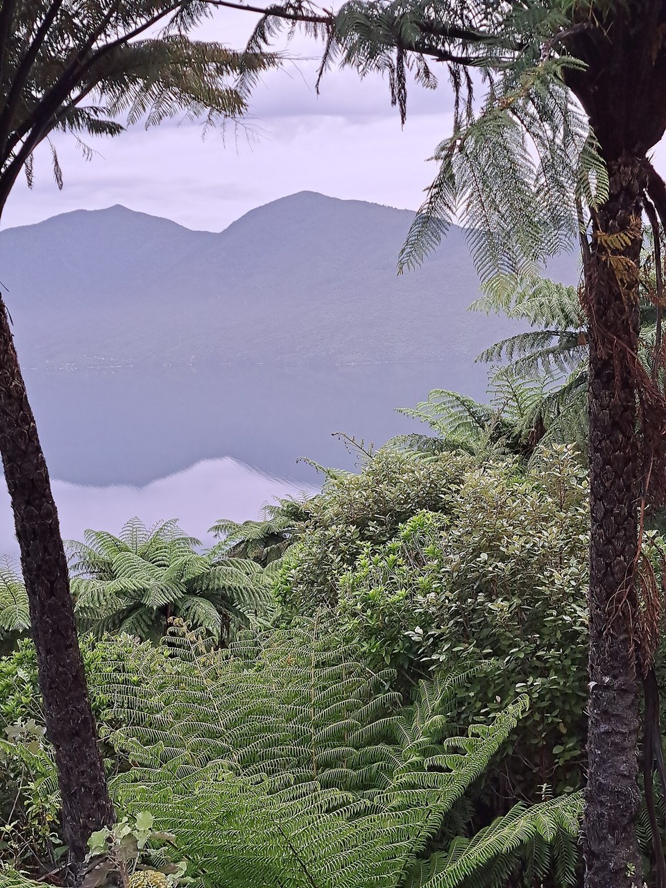 Neuseeland - Portage - 