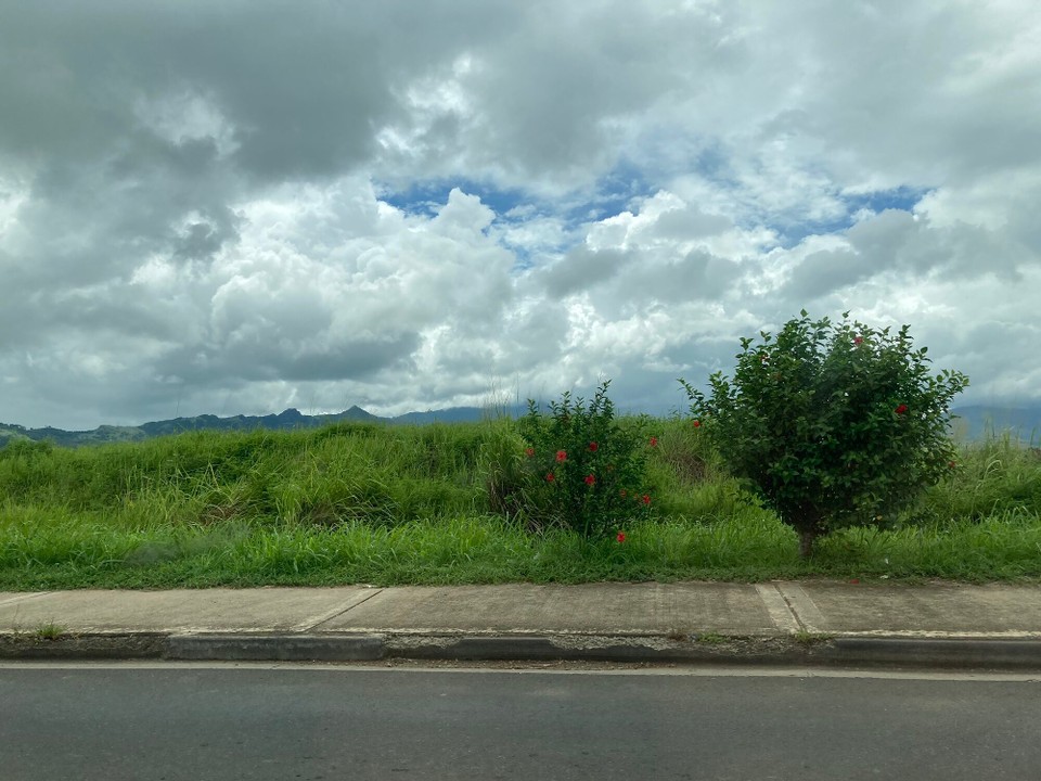 Fidschi - Nadi - Gönn ich mir eben mal ein Taxi, wenn kein Bus fährt 🤷🏻‍♀️ (Sonntag 🙈)