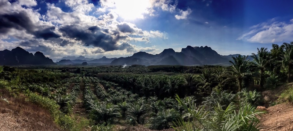  - Phang Nga - Ein Blick zurück in den Khao Sok Nationalpark.