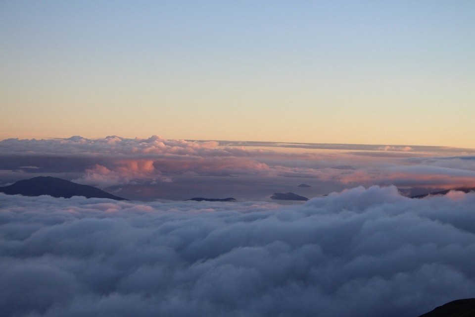 Neuseeland -  - 