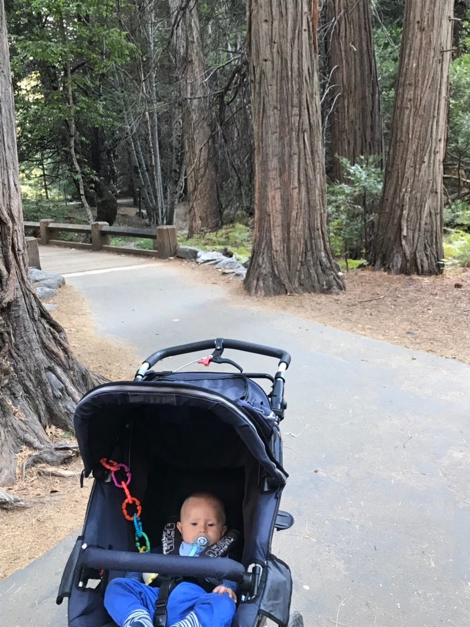 USA - Yosemite-Nationalpark - 