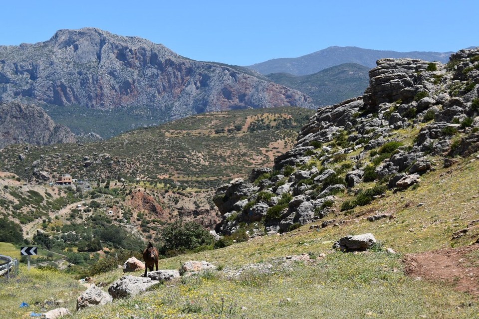 Marokko - Chefchaouen - Obwohl wir eigentlich total K.O. waren hatten wir den Nachmittag für einen Ausflug ins Rifgebirge verplant. Bei Akchour sollte es schöne Wasserfälle geben.