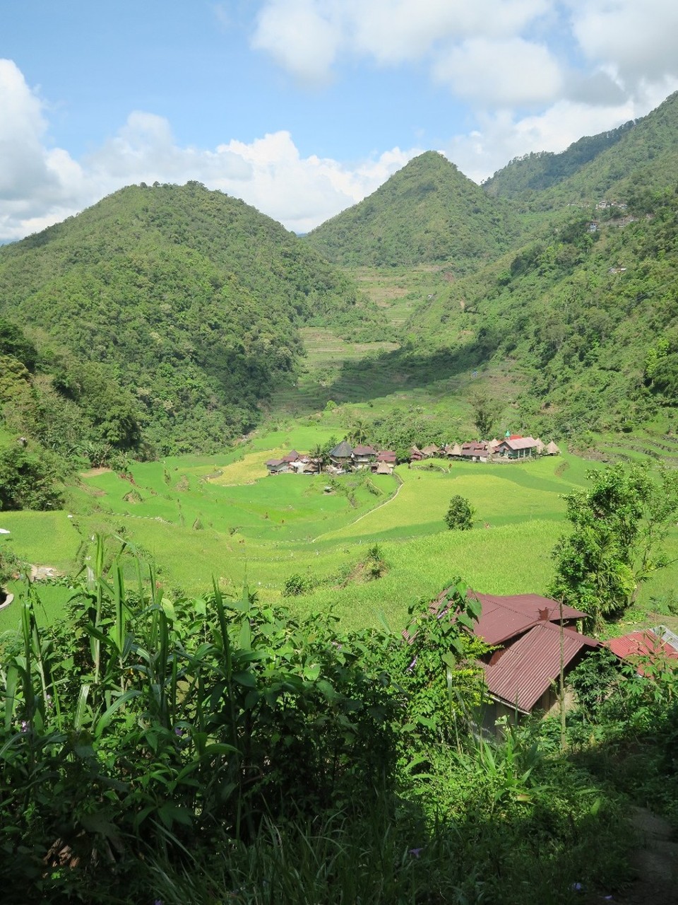 Philippines - Banaue - Petit village de Bangaan